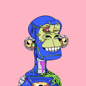 msa: 1656
