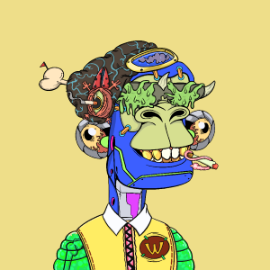 msa: 1017