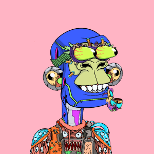 msa: 4131