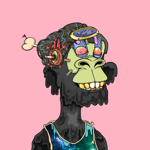 msa: 6738