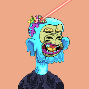 msa: 8424