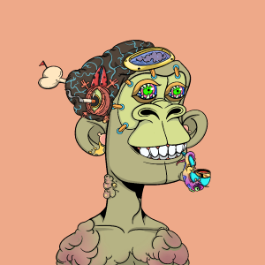 msa: 642