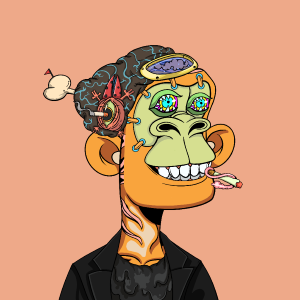 msa: 8084