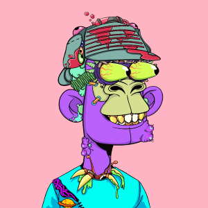 msa: 6628