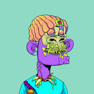msa: 7055