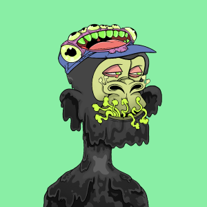 msa: 8088