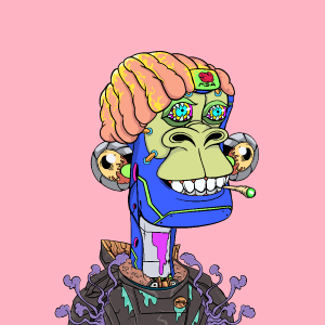 msa: 7816