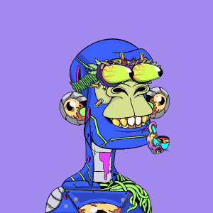 msa: 2054