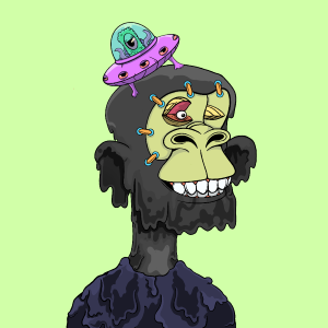 msa: 6665