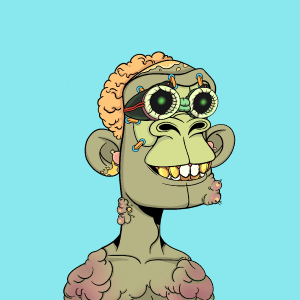msa: 3333