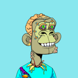 msa: 9864