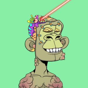msa: 60