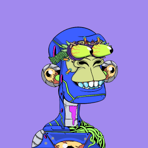 msa: 6626