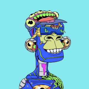 msa: 581