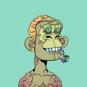 msa: 5272