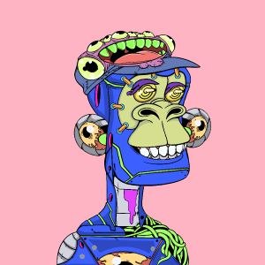 msa: 8031