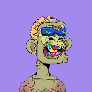 msa: 2738