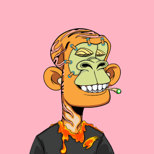 msa: 7041