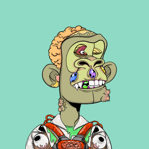 msa: 6317