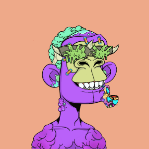 msa: 2016