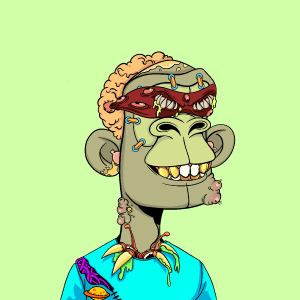 msa: 9713