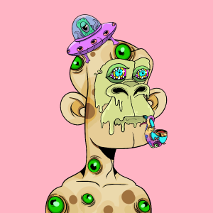 msa: 2178