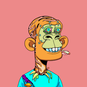 msa: 3164