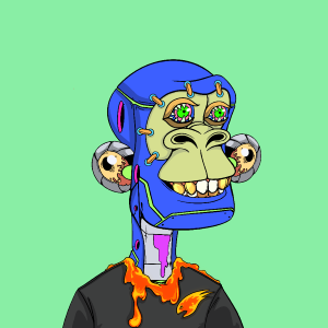 msa: 1069