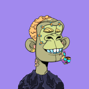 msa: 3033