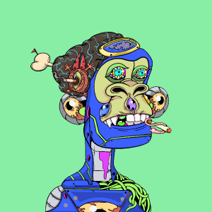 msa: 2040