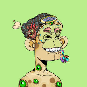 msa: 3554