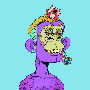 msa: 8889