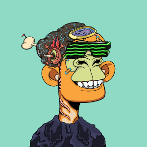 msa: 333