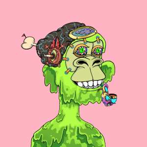 msa: 7913