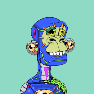 msa: 8877