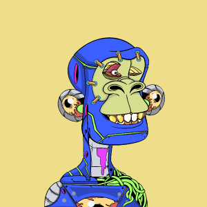 msa: 1248