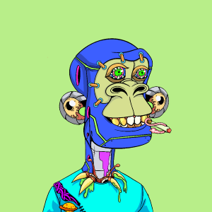 msa: 5019