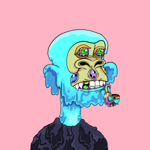 msa: 3017