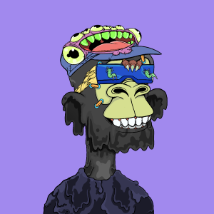 msa: 8118