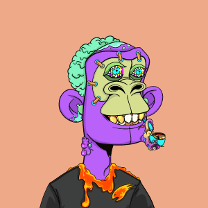 msa: 1282