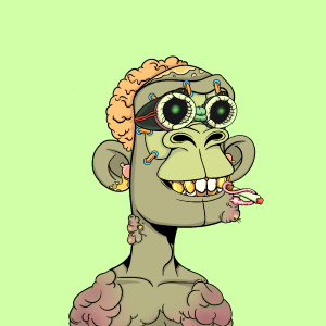 msa: 5608