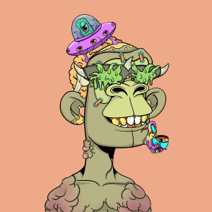 msa: 6408