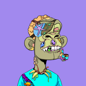msa: 5547