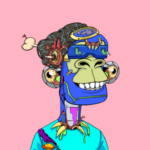 msa: 5