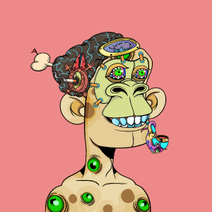 msa: 2339