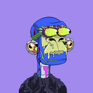 msa: 8271