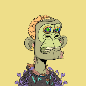 msa: 2217