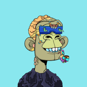 msa: 6818