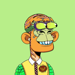msa: 7902