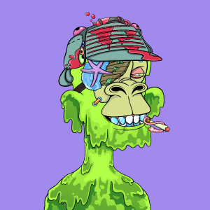 msa: 2015